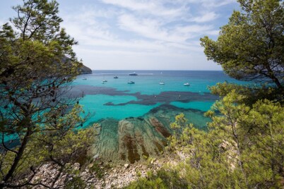 El Panorama in J vea