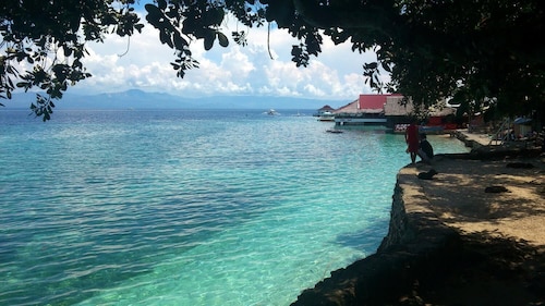D' Gecko Hotel